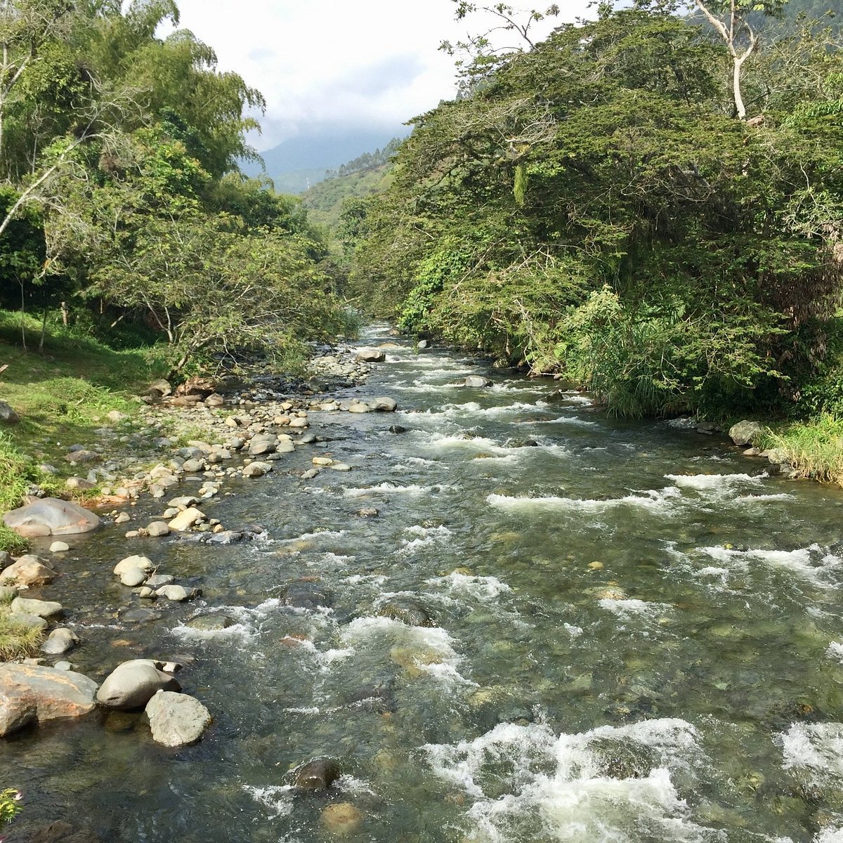 Escape Natural Río Pance